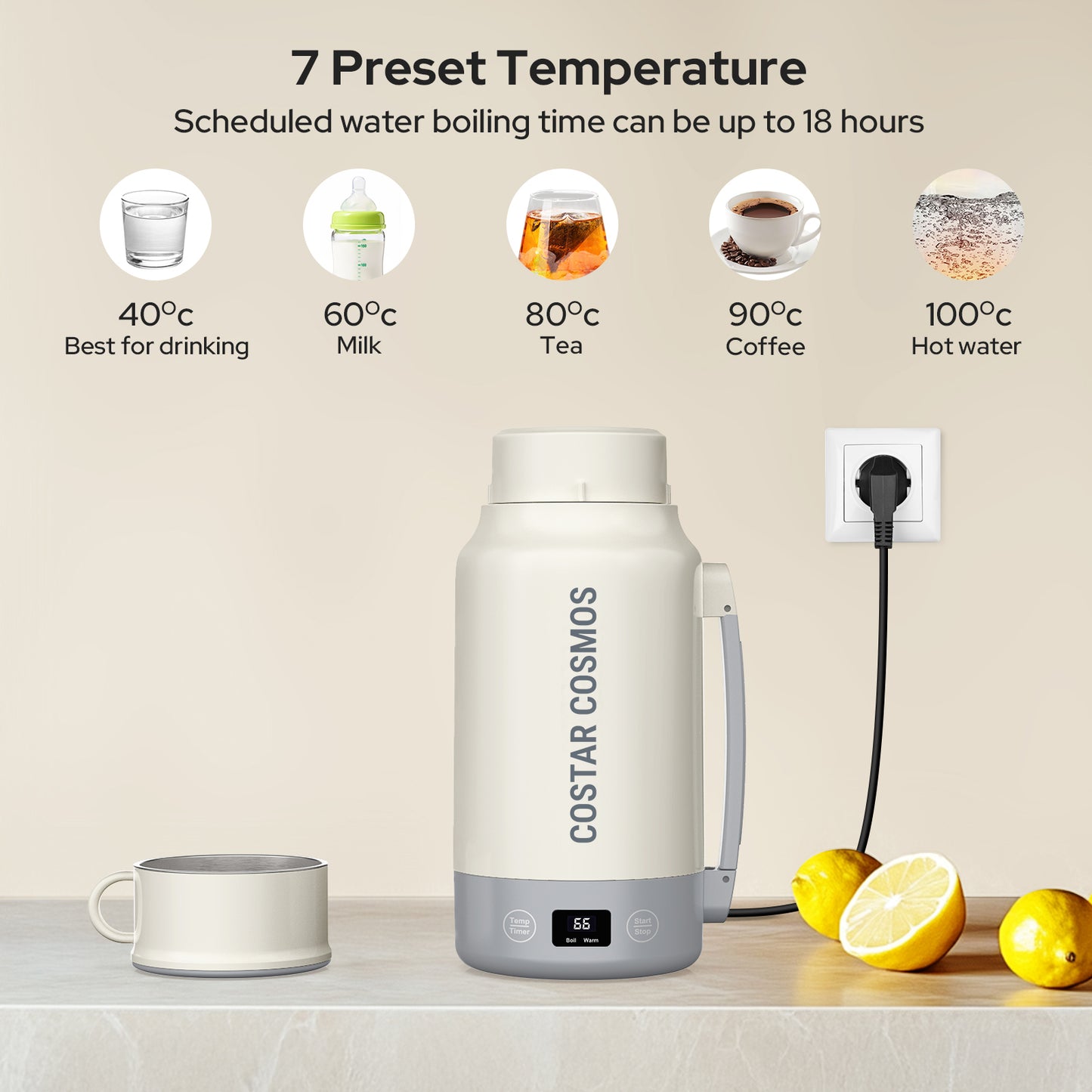 Electric Water Kettle